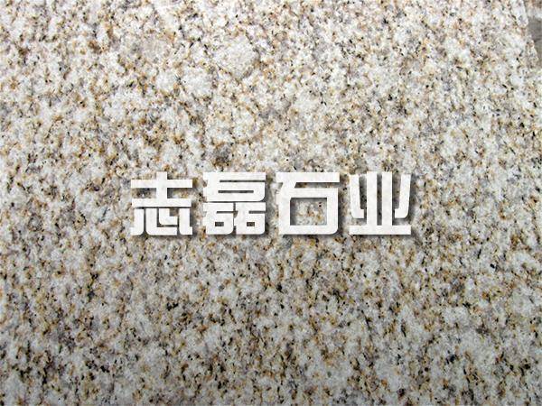 莱州黄金麻 莱州黄金麻