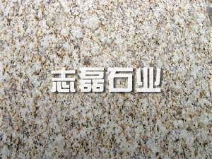 山东黄金麻 山东黄金麻